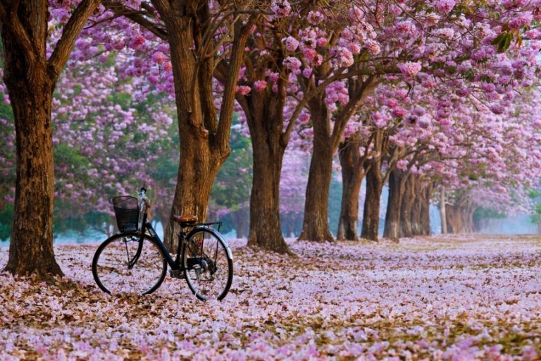 Bentornata Primavera: ti aspettavamo